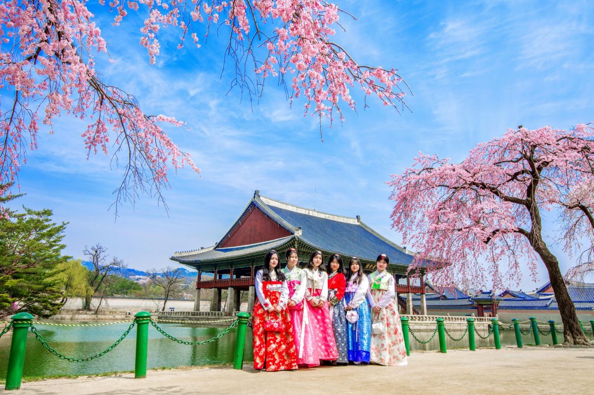 Girls  wearing the traditional Korean dress Hanbok, in the scenery of Korea's beautiful spring peach blossoms