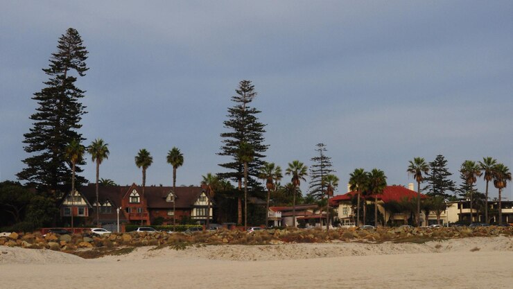 The Pacific Palisades are recovering after the devastating fires. (freepik)
