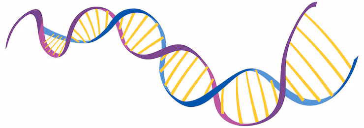 Deoxyribonucleic acid, DNA, is an important tool that is used in criminal justice. (freepik)