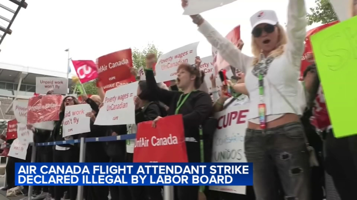 Many protest in agreement with the flight attendants are shown in the image above.
(ABC7)