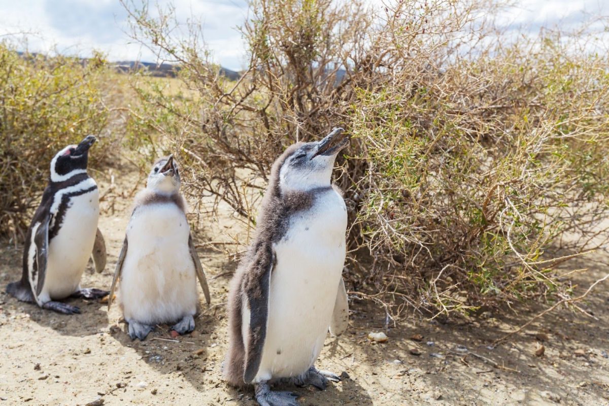 Published Study Reveals That Global Warming Has Started to Reach Its Tipping Point (Freepik)