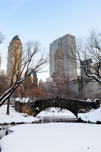 Winter is associated with the desire to visit New York due to the iconic winter activities, such as ice skating and festive holiday magic. 
Media, fashion, and holiday culture all portray New York City as a magical, stylish, and festive place during the winter months, which contributes to the idea of wanting to go. 
Millions of tourists visit NYC in December for events, such as Radio City Christmas Spectacular, New Year’s Eve in Times Square, and the Rockefeller Center Christmas Tree. 
The Radio City Rockettes are a precision dance company that performs at the Radio City Christmas Spectacular in New York City. The 90-minute production features singing, dancing, extravagant sets, and multimedia. It has been a popular holiday custom since 1933 and attracts millions of visitors annually. 
With live musical performances, a sizable crowd, and a huge confetti celebration, New Year’s Eve in Times Square is a significant public event that revolves around the well-known Times Square Ball drop at midnight. 
Since 1993, the Rockefeller Center Christmas tree, a large, decorated conifer tree, has been on display in Manhattan every year. The 2025 tree, a 75-foot-tall Norway spruce from East Greenbush, New York, will have a Swarovski star and 50,000 LED lights. 
Saks Fifth Avenue and Macy’s are iconic attractions that have become global symbols with their classic window displays. 
The ideal aesthetic season for photos and style in NYC is winter, when everything is cute - long coats, scarves, boots, and hot chocolate.  Influencers and social media have amplified the idea of NYC even more and make people want to visit. Many see visiting New York as living out that “main character” moment. 
Searches on TikTok and Instagram like “NYC Christmas 2025” and “New York winter aesthetic.” BuzzFeed Travel calls it the “real-life movie moment.”
In the winter, New York becomes a festive wonderland where people experience all the holiday feels. The city is frequently decked out with Christmas lights and decorations, creating a distinctive atmosphere. 
With all the holiday spirit and snow, people dream of having that “New York moment.”
For numerous people, New York represents the dream of possibility. People see the city as a place where fantasy meets reality. 
Many classic Christmas movies and TV shows are set in New York, including Home Alone 2: Lost in New York, Elf, Miracle on 34th Street, Serendipity, and The Holiday Calendar. These movies portray NYC as a magical, romantic winter wonderland filled with skating rinks, lights, and cozy city vibes. 
According to IMDb, New York is one of the most frequently used film settings for holiday movies. 
People who don’t celebrate Christmas are still drawn to the vibrancy of the city. In contrast to most peaceful winters, New York feels vibrant, with people, music, and lights. 
It embodies a universal feeling of happiness and community that entices everyone to join in - making it not just a place, but an experience. 
